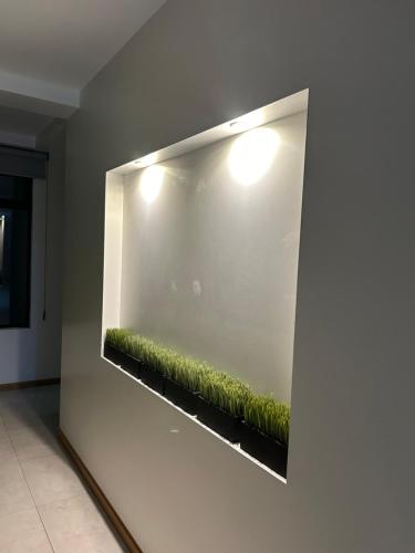 Фотография из галереи Departamento Ejecutivo 5 minutos de Galerías Pachuca в городе Пачука-де-Сото