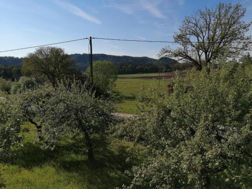 Gallery image of Bauernhof-Pension Puschnikhof in Unternarrach