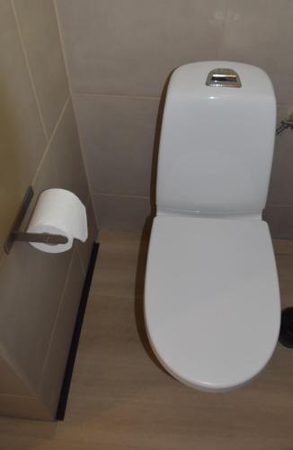 a white toilet in a bathroom with a roll of toilet paper at Kibbelschuur in Zottegem
