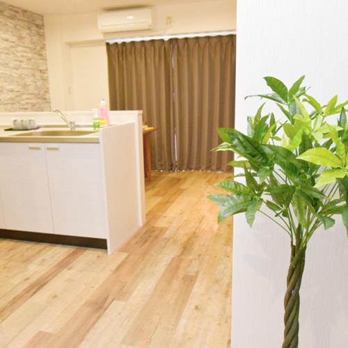 Dapur atau dapur kecil di CoCo Class