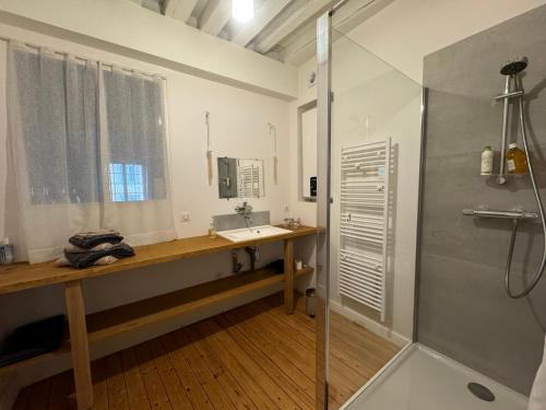 a bathroom with a sink and a shower at La Maison de Margaret in Cluny