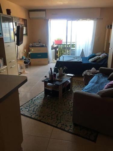 un salon avec un canapé et une table dans l'établissement Pieds dans l eau, à Grosseto-Prugna