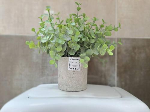 a potted plant sitting on top of a toilet at HaengGung MaSil in Suwon