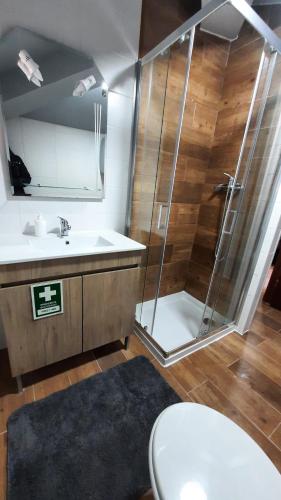 a bathroom with a shower and a toilet and a sink at Ferradosa GuestHouse in São João da Pesqueira