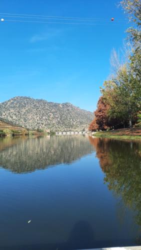a view of a river with trees and mountains at Ferradosa GuestHouse in São João da Pesqueira