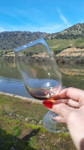 a person holding a glass of wine in front of a river at Ferradosa GuestHouse in São João da Pesqueira