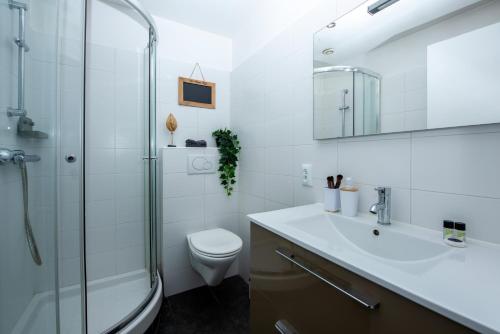 une salle de bain avec une douche, des toilettes et un lavabo dans l'établissement Appartement vue mer, à Cagnes-sur-Mer
