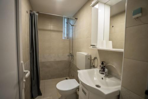 a bathroom with a toilet and a sink and a shower at Smeštaj Milutinn in Soko Banja