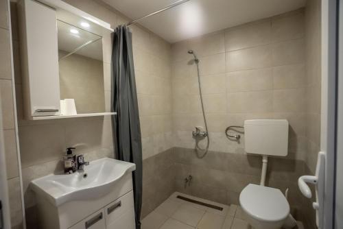 a bathroom with a sink and a toilet and a shower at Smeštaj Milutinn in Soko Banja
