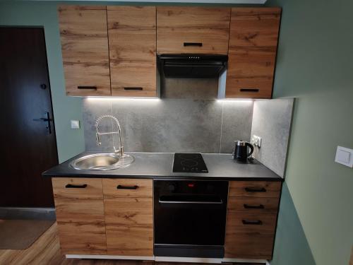 Küche/Küchenzeile in der Unterkunft Apartament Mała Twierdza