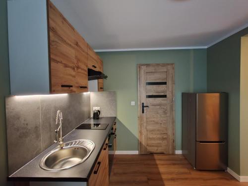 Küche/Küchenzeile in der Unterkunft Apartament Mała Twierdza