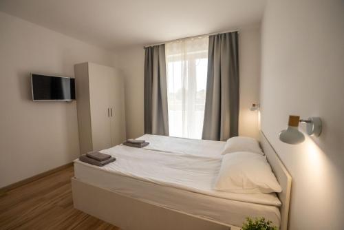 a bedroom with a large bed with a window at Smeštaj Milutinn in Soko Banja