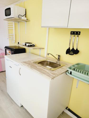 Η κουζίνα ή μικρή κουζίνα στο Apartaments Segur Kandy 1