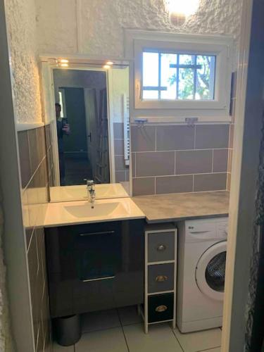 une salle de bain avec un lavabo et une machine à laver dans l'établissement Appart Rez jardin 500 m plage - toutes commodités, à Lumio