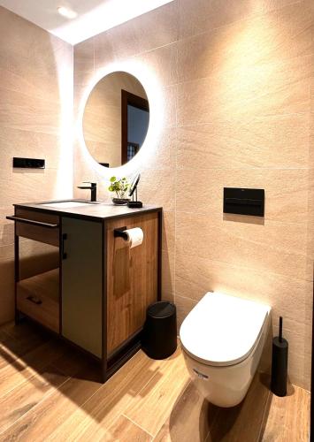 a bathroom with a toilet and a sink and a mirror at BOJ Casas de Montaña in Bielsa