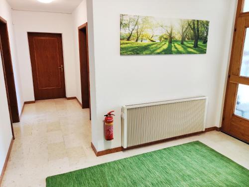 a living room with a green rug and a radiator at Wellness- HotTub & Sauna- Pet Friendly- Hiking in Keutschach am See