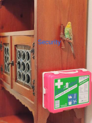a bird is sitting on a box in a cabinet at Wellness- HotTub & Sauna- Pet Friendly- Hiking in Keutschach am See