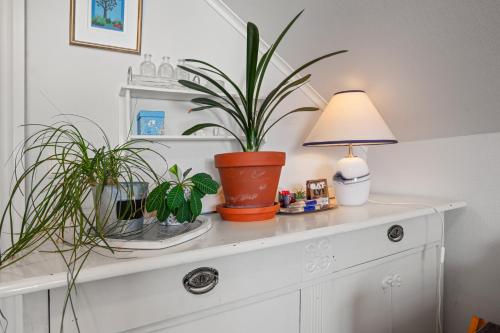 a white dresser with plants and a lamp on it at Klara in Sandefjord