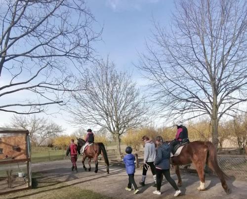 a group of people riding horses on a road at Familienhof Funny in Galenbeck