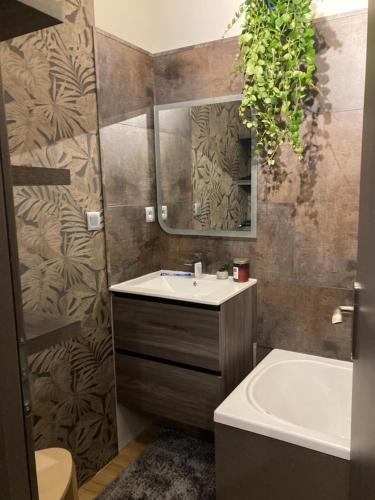 a bathroom with a sink and a tub and a mirror at belle vue pied des pistes 6 couchages 2 pièces in Villard-de-Lans