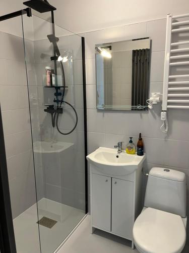 a bathroom with a shower and a toilet and a sink at Apartament ogrodowy in Miechów