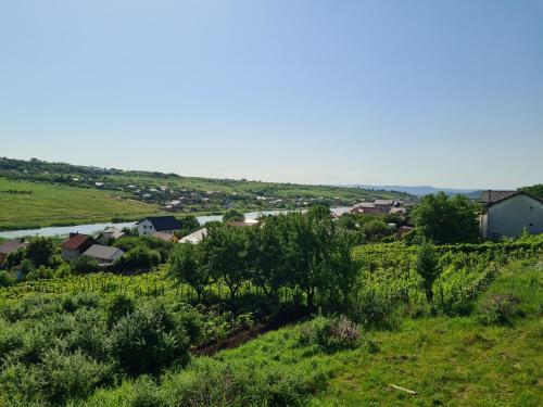 a view of a small town from a hill at Somad Apartment in Rediu