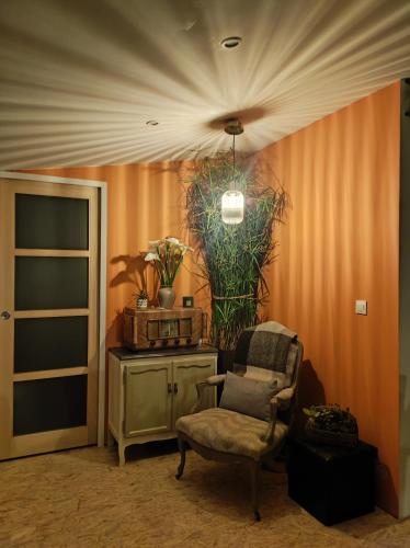 a living room with a chair and a plant at Chez Jak et Laurent in Quéven