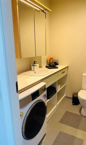 a bathroom with a washing machine under a sink at Cozy apartment with terrace! in Sigulda