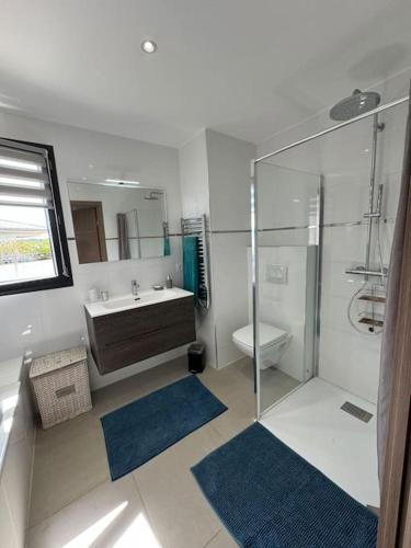 une salle de bain avec une douche, un lavabo et des toilettes dans l'établissement Appartement dernier étage avec spa privatif sur grande terrasse, à Porto-Vecchio