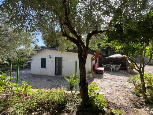 a small white house with a patio and a tree at Casa vacanze Alfano in Ascea