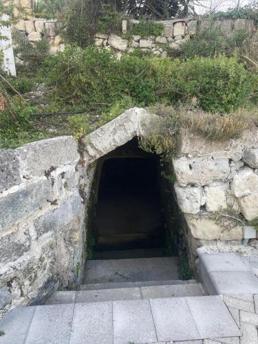 a tunnel in a stone wall with plants on it at CASA PAPADIA in Uggiano la Chiesa