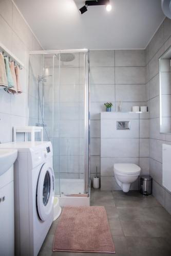 a bathroom with a washing machine and a toilet at Alicjówka - domek in Marciszów