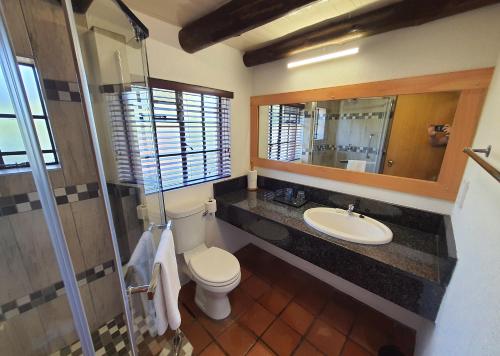 a bathroom with a toilet and a sink and a mirror at Burchell's Bush Lodge by Dream Resorts in Sabi Sand Game Reserve