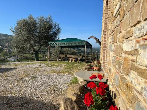 Φωτογραφία από το άλμπουμ του Casa vacanze La Cascina di Caterina σε Castellabate