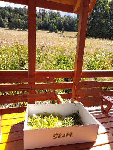 a box filled with plants sitting on a porch at Chatka w gorach in Lewin Kłodzki