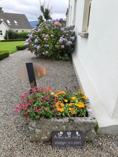 a bunch of flowers in a garden next to a building at Abhainn Ri Cottages in Blessington