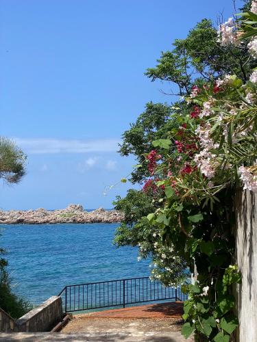 a view of a body of water with flowers at Adriatic Masterpiece Residence in Sveti Stefan