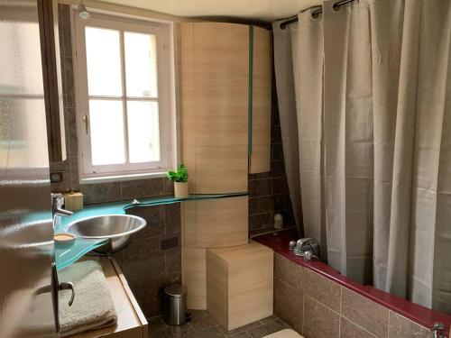 un baño con lavabo y ducha en Maison Saint Pierre, en Chartres