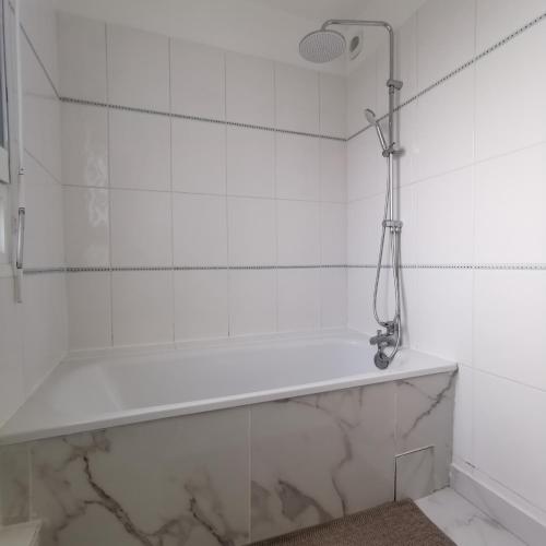 une salle de bain avec baignoire et douche dans l'établissement Chambre Ananas à saint Marceau, à Orléans