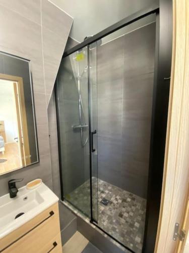 une salle de bain avec une douche avec une porte vitrée dans l'établissement Studio Trocadéro sur les toits, à Paris