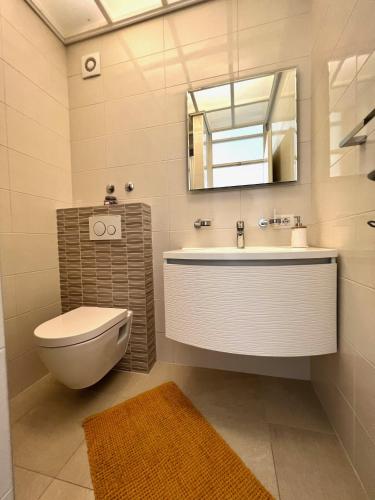 a bathroom with a toilet and a sink and a mirror at Vila Vera Seafront Apartments in Sumartin