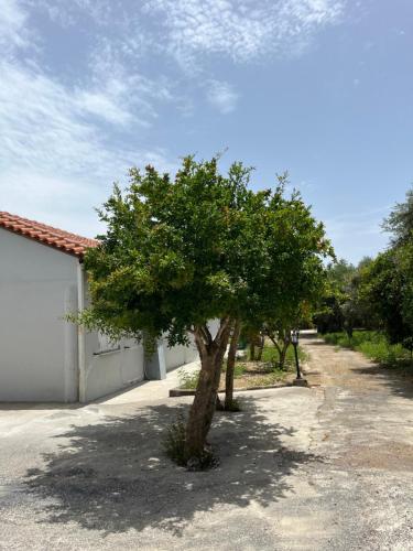 Gambar di galeri bagi Glykoriza Cottage di Longá