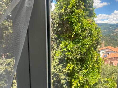 a window with a view of a tree at Finale Ligure Gorra Rooms Rosa di Mare vicino al mare lontano dal caos! in Borgio Verezzi