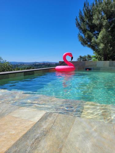 Πισίνα στο ή κοντά στο Villa Celeste Ardeche