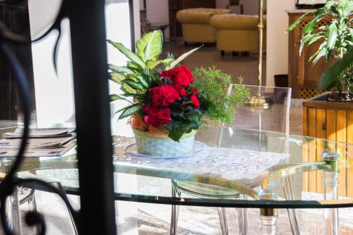 Fotografie z fotogalerie ubytování Hotel Pico v destinaci Mirandola