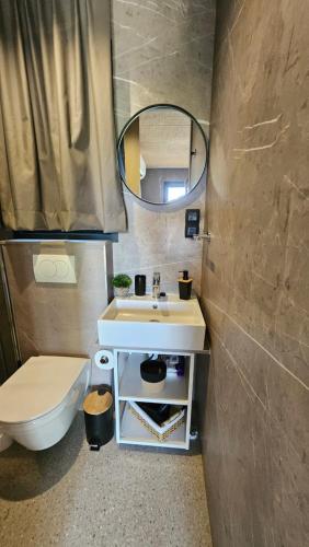 a bathroom with a sink and a toilet and a mirror at Ahoi Hause 17 in Drage