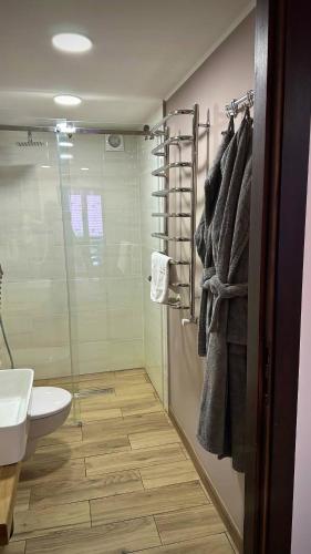 a bathroom with a shower and a toilet and a sink at GORGANY resort & SPA in Yablunytsya