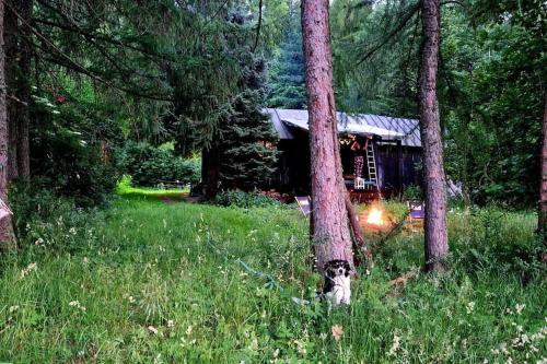 Zahrada ubytování Grapa - Magiczna Leśna Chata
