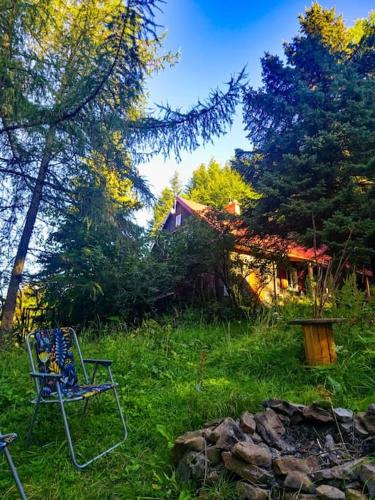 Grapa - Magiczna Leśna Chata