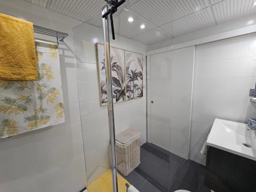 un baño con ducha y lavabo en Apto La Mimosa - Salou, en Salou
